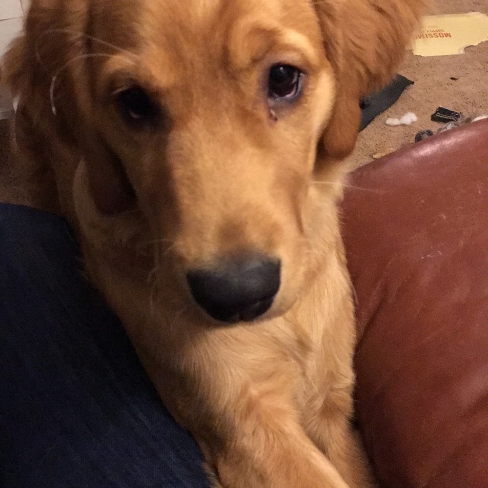 Meet your Posher, Ericka